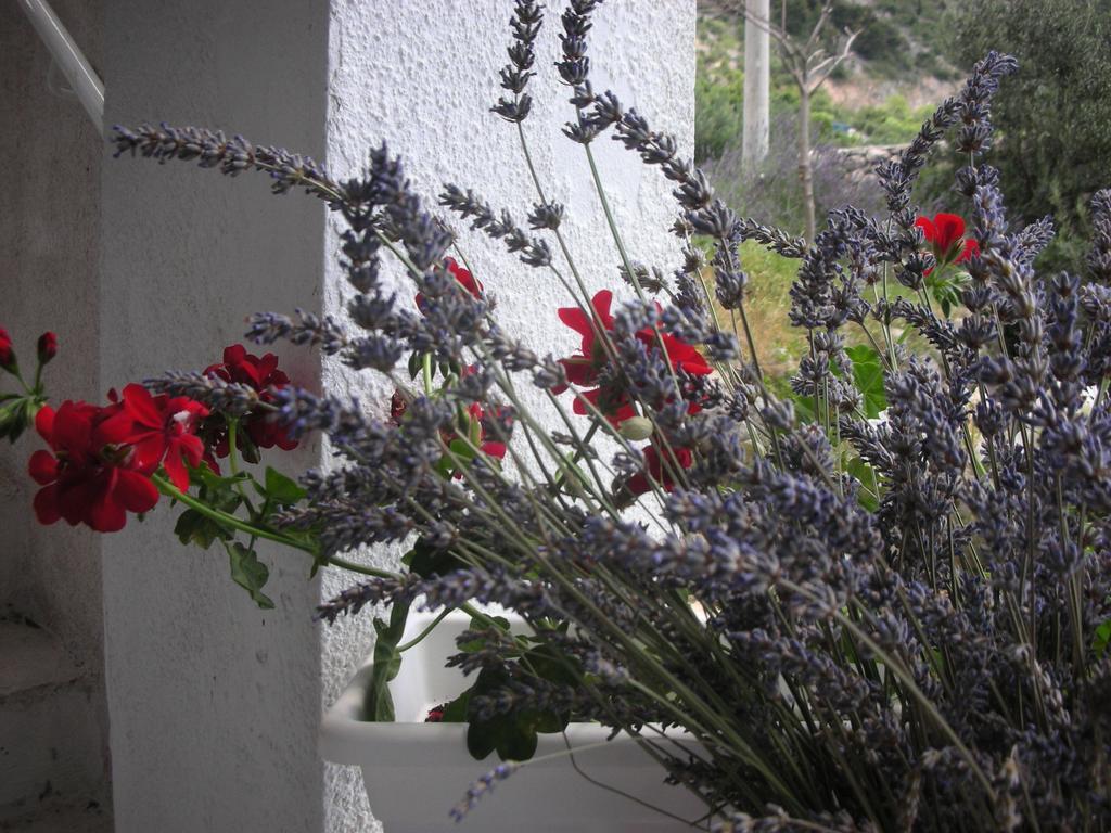 Apartment Croatia Art Drasnice Rom bilde